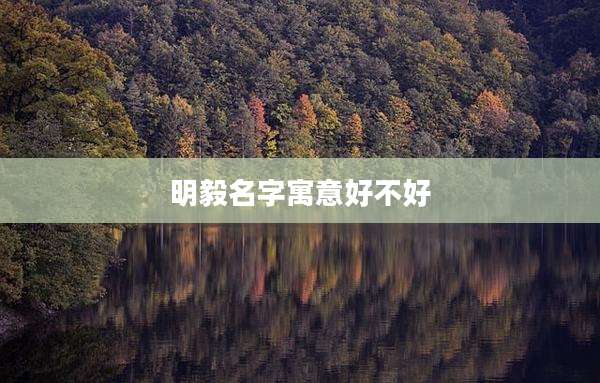 明毅名字寓意好不好
