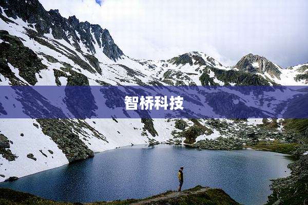 智桥科技