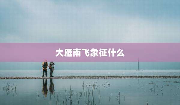 大雁南飞象征什么