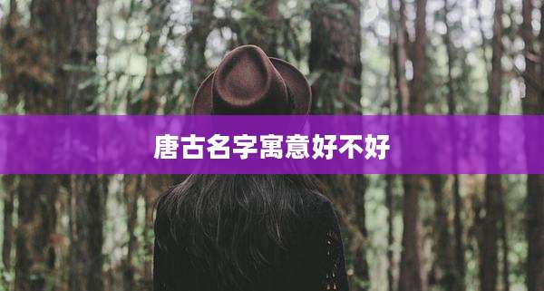 唐古名字寓意好不好