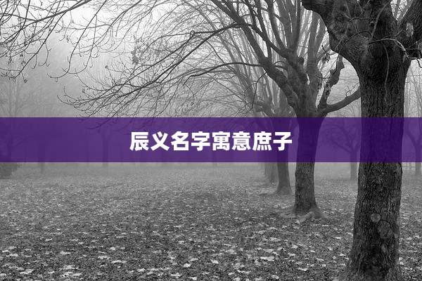 辰义名字寓意庶子