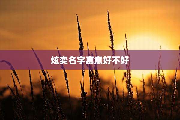 炫奕名字寓意好不好