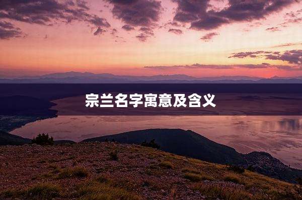 宗兰名字寓意及含义