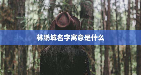 林鹏城名字寓意是什么