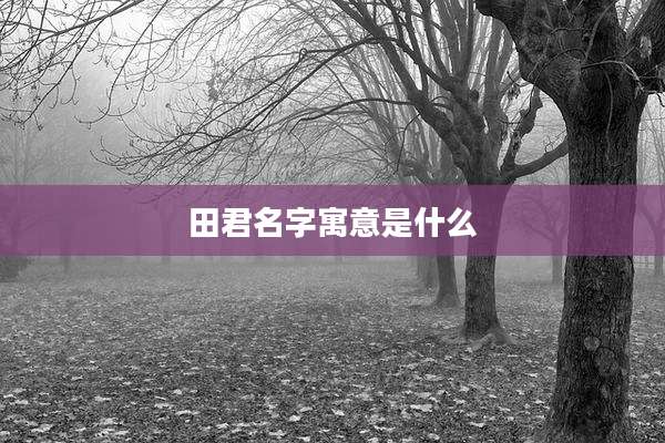 田君名字寓意是什么