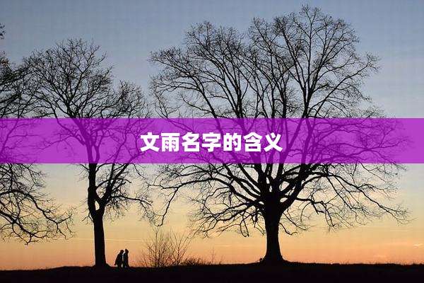 文雨名字的含义