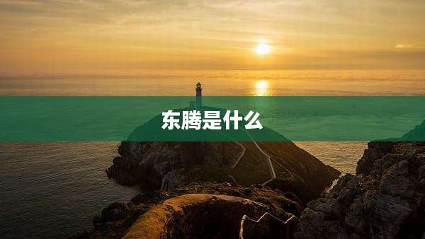 东腾是什么