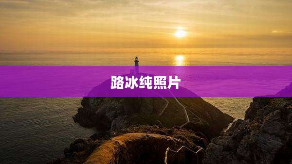 路冰纯照片