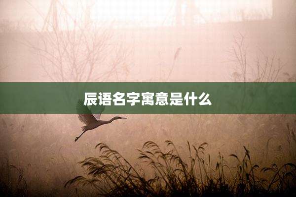 辰语名字寓意是什么