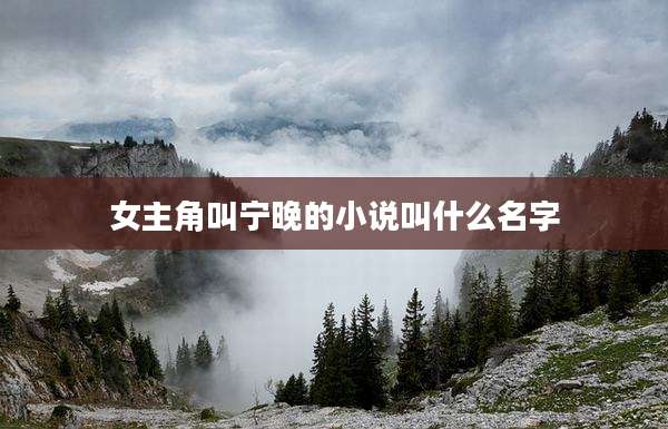 女主角叫宁晚的小说叫什么名字