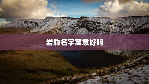 岩豹名字寓意好吗