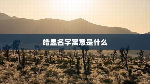 皓昱名字寓意是什么