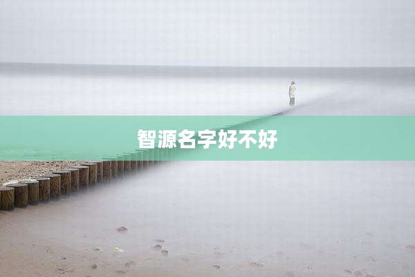 智源名字好不好