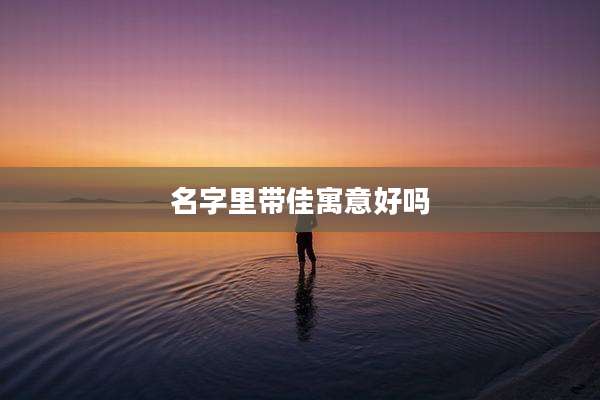 名字里带佳寓意好吗