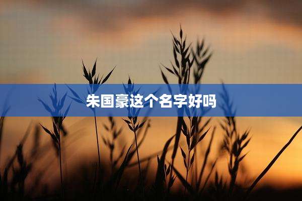 朱国豪这个名字好吗