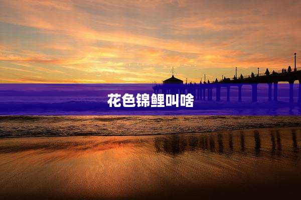 花色锦鲤叫啥