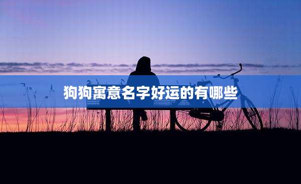 狗狗寓意名字好运的有哪些