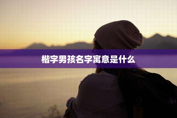 楷字男孩名字寓意是什么