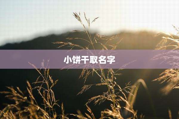小饼干取名字