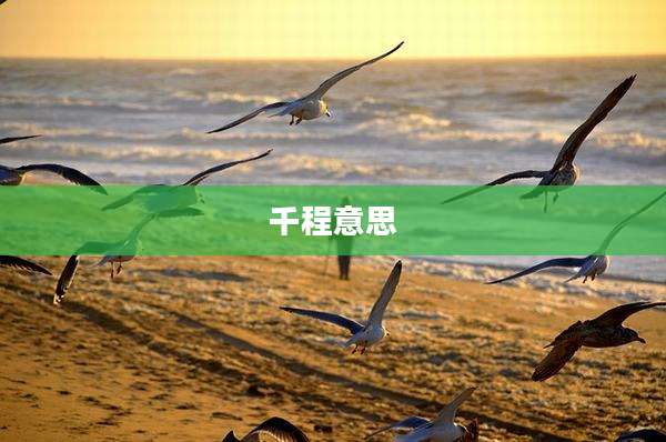 千程意思