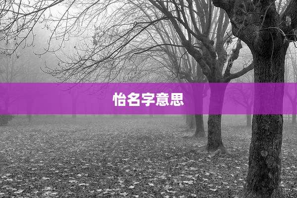 怡名字意思