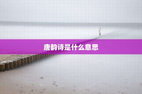 唐韵诗是什么意思