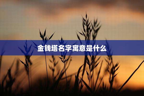 金钱塔名字寓意是什么