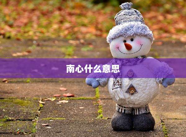 南心什么意思