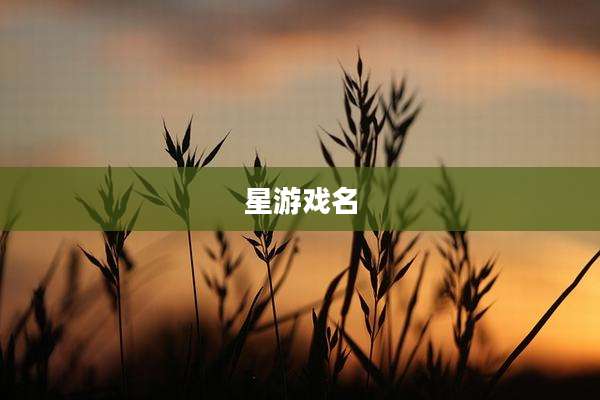 星游戏名