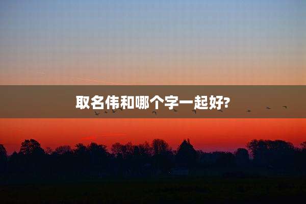 取名伟和哪个字一起好?