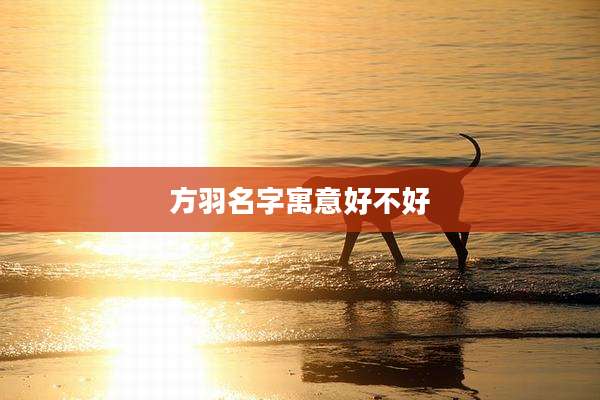 方羽名字寓意好不好