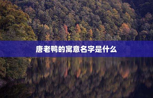 唐老鸭的寓意名字是什么