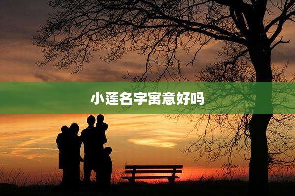 小莲名字寓意好吗