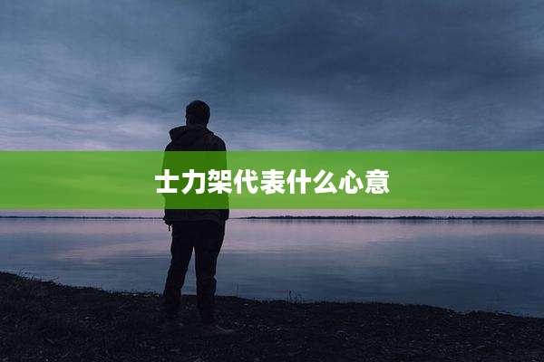 士力架代表什么心意