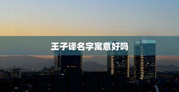 王子译名字寓意好吗