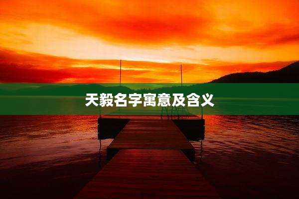 天毅名字寓意及含义
