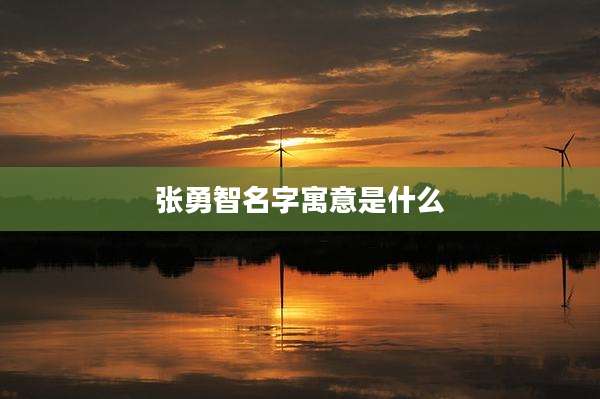 张勇智名字寓意是什么