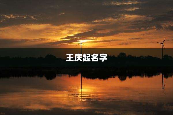 王庆起名字