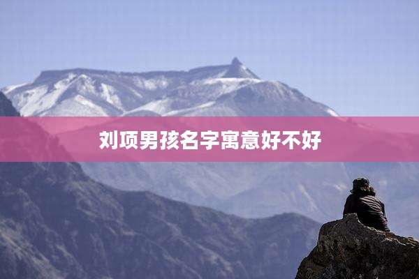 刘项男孩名字寓意好不好