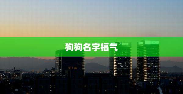 狗狗名字福气