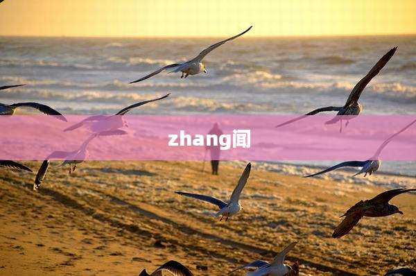 zhang闻