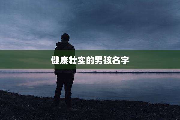健康壮实的男孩名字
