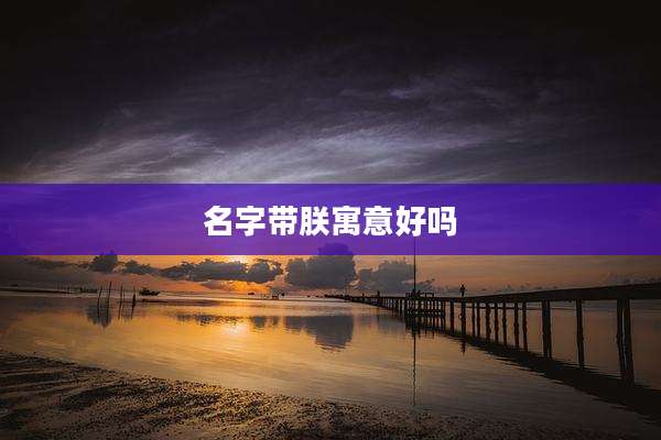 名字带朕寓意好吗