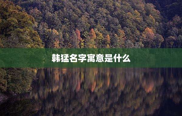 韩猛名字寓意是什么