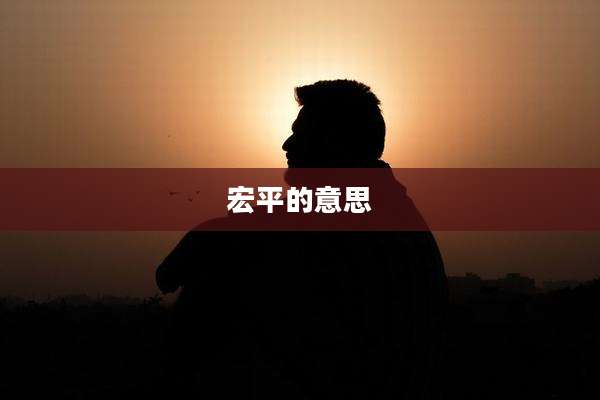 宏平的意思