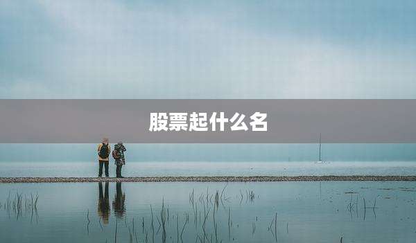 股票起什么名