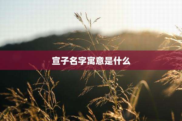 宣子名字寓意是什么
