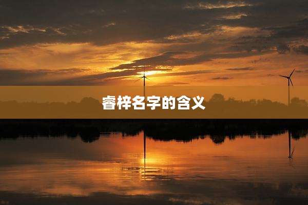 睿梓名字的含义