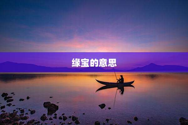 缘宝的意思