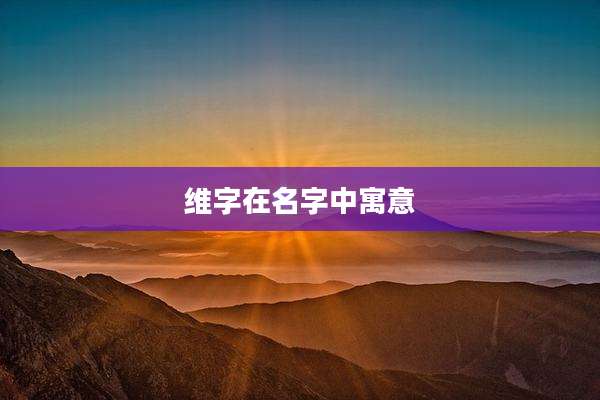 维字在名字中寓意